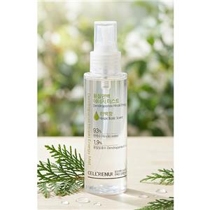 [3+1이벤트] 황칠편백 에너지 미스트 단품 - 편백향