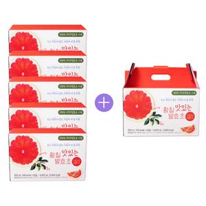 [5+1이벤트] 황칠 맛있는 발효초 - 파우치음료세트