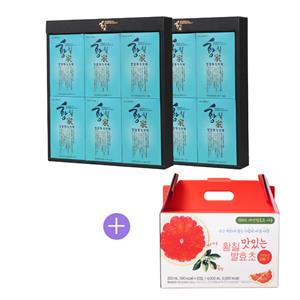 [이벤트] 청담황칠진액 일반 2세트 + 발효초파우치세트