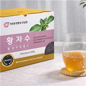 황칠자죽염수