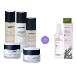 [이벤트] 셀리뉴 스킨케어 5종(토너,로션,에센스,아이크림,크림) + 황칠편백 미스트 편백향
